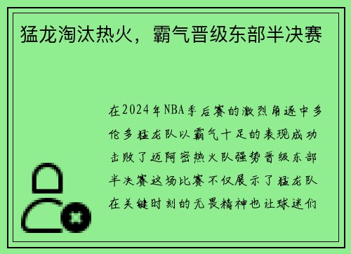 猛龙淘汰热火，霸气晋级东部半决赛